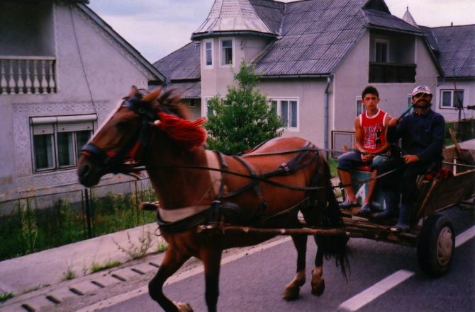 Horses & Carts 2015